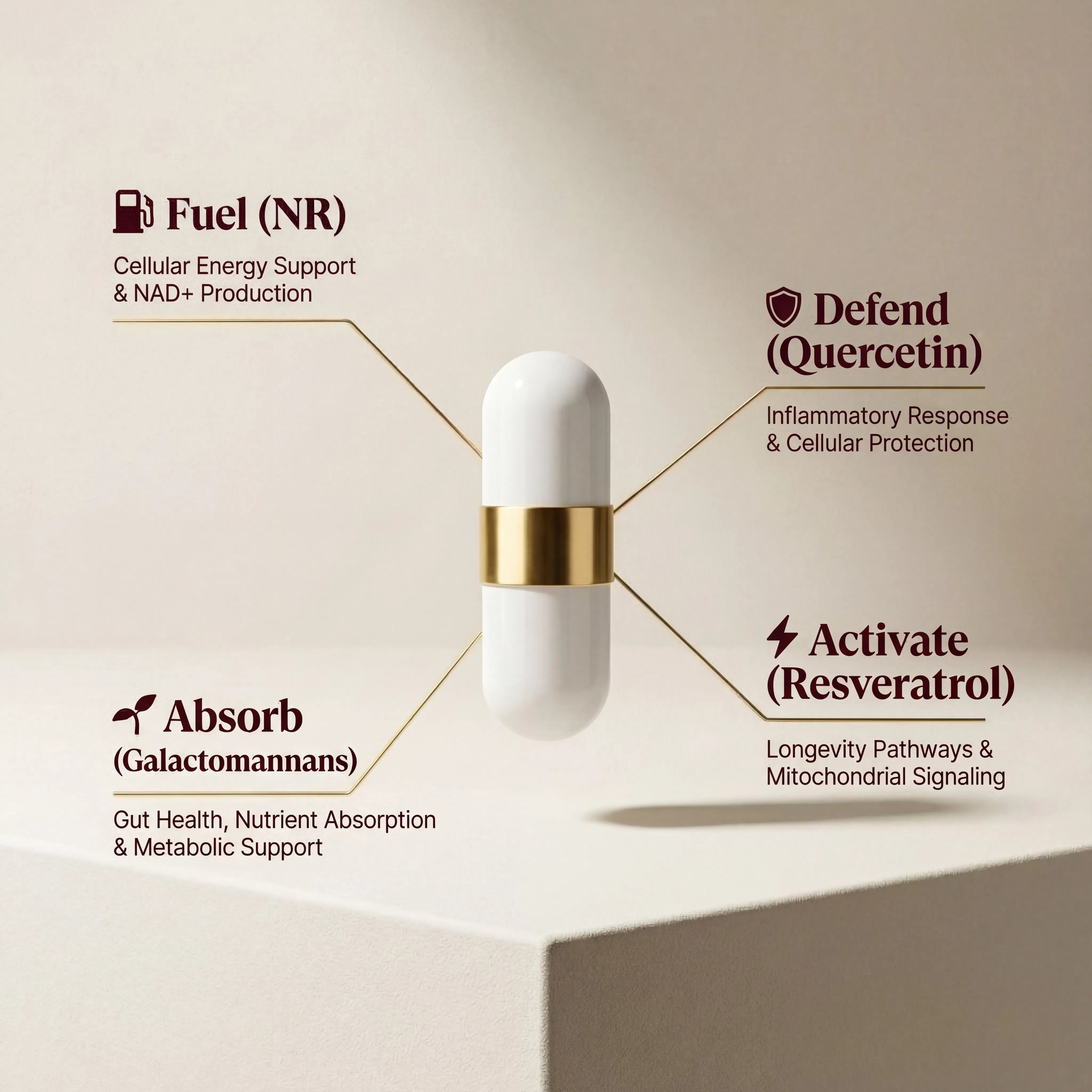 90 Day Serving - CoreFour NAD+ Daily 4-in-1