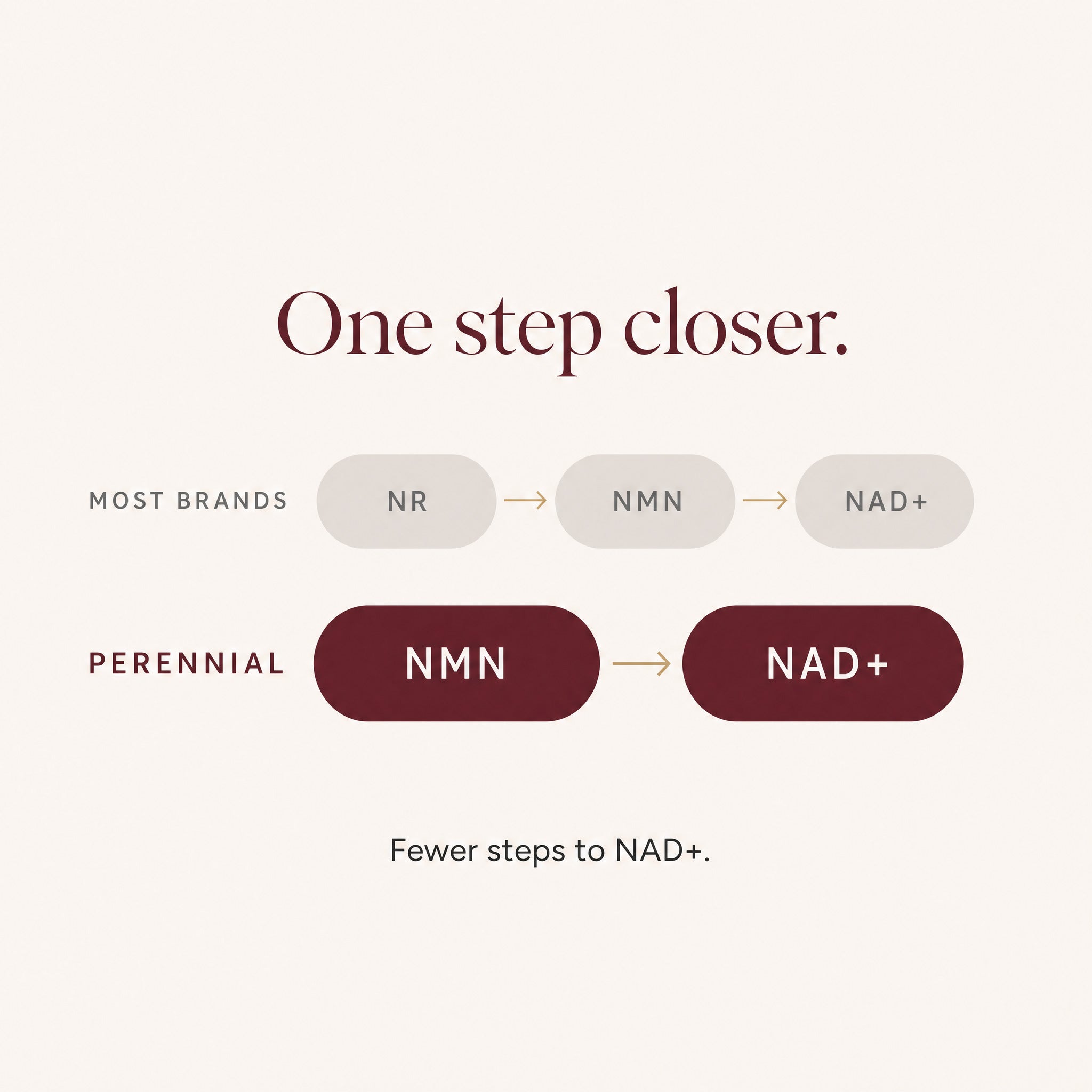 Diagram: most NAD+ brands use NR which converts NR to NMN to NAD+, while Perennial uses NMN which converts directly to NAD+ — one step closer